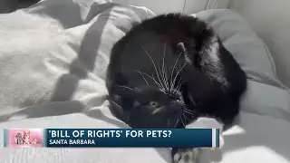 California lawmaker introduces &ldquo;Bill of Rights&rdquo; for dogs and cats