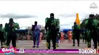 CONCURSO TOKORO DE ORO - CARNAVAL DE JULIACA 2025