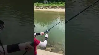 Outdoor foldable fishing rods for fishing#outdoors#fishing#fish