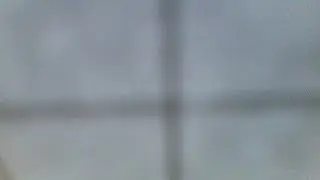 NYDR