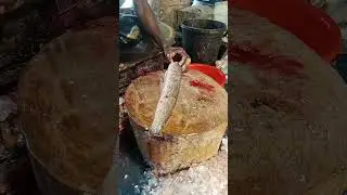snake fish cutting /shol fish cutting #youtubeshorts #trending #fishcutting #fishcooking #shorts