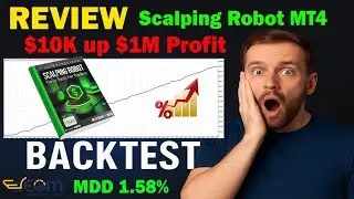 Scalping Robot MT4 Review Backtest Performance profit $1M in 1 year | EcomForex