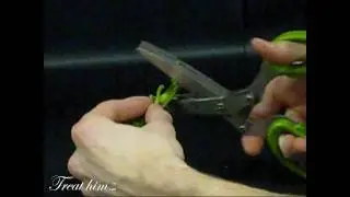 Herb Scissors Set