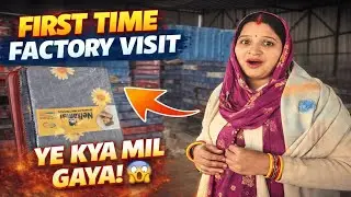 Day 11 First Time Factory Visit 😊 or Surprise Mila 😃