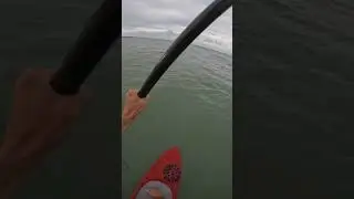 Linking waves on a #supfoil