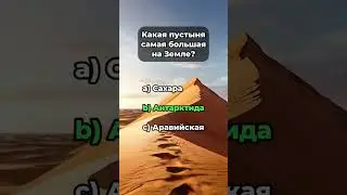 #ответынавопросы #факты #вопросы #прокачайсебя #тесты #топ #наука #facts