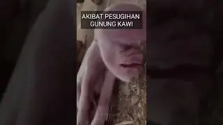 ritual pesugihan gunung kawi#gunungkawi