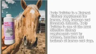 How to Build Topline Muscle on Your Horse, Partnering with Equiadeinc || Camo Cowgirl