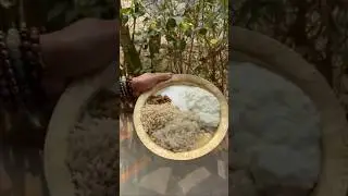 Doi Sira Jalpan ❤️👍😋 #shorts #traditional  #assan #food  #viralshort  #youtubeshort #tasty #maghbihu