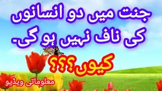 اسلامی معلوماتی ویڈیو 11 #islamicinformation #islamicknowledg #islamicvideo