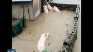 RAW: Heavy rains cause river to burst bank in SE China