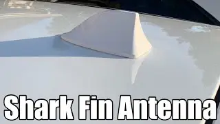 Installing a Shark Fin Antenna for MK3 Focus ST/RS/SE!