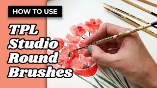 How to Use The Pigeon Letters Studio Round Brushes
