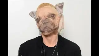 3 Years of CouchDoggo stream!
