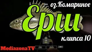 Русская Рыбалка 4 оз Комариное Ёрш 19 06 23