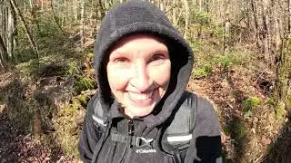 Short hike on a cold but pretty day (Sheltowee Trace Trail)