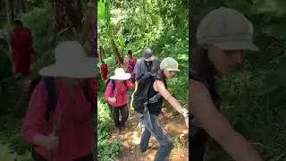PANAM&Aacute; CULTURE: Medicinal Plants and Natural Dyes Hike in Panam&aacute;