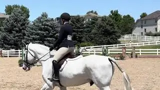 Summer in the Rockies equitation flat 1st place out of 19 (test phase)