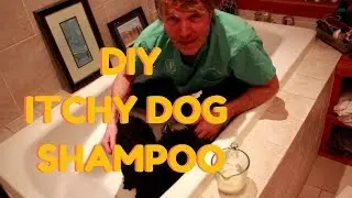 DIY Dog Shampoo for Itchy Skin