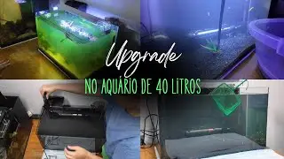 Upgrade no Aquário de 40 Litros 🐠✨ | Transformação Satisfatória
