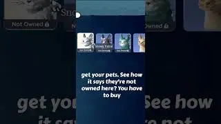 How to get Pets in Palia! 😻 #shorts