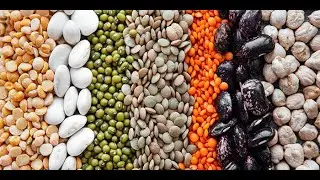 Webinar on healthy and climate-friendly diets 02-05-22