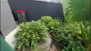 Toror Lawn Care Services