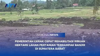 PEMERINTAH GERAK CEPAT REHABILITASI RIBUAN HEKTARE LAHAN TERDAMPAK BANJIR DI SUMATERA BARAT