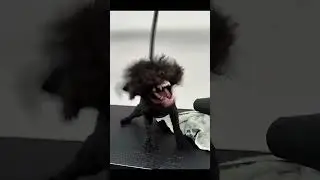 funny epics fails | funniest fails moments ever part 258 #shorts #funny #viral #youtube #trending