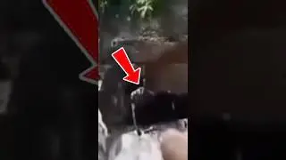 Cave CRYPTID Had Them SCREAMING 😱 #creepyencounters #cryptids #reactionvideo #creepyvideos #cryptid
