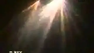 t rex 1