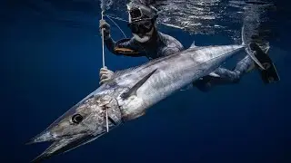 Spearing The Lost Wahoo | Raw Footage | Persistence Pays