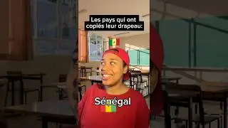 Les pays qu&rsquo;on ont copi&eacute;s leur drapeaux (partie 2) #humour #sketch #drapeaux #pays