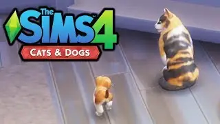 Adopting a Kitten! - The Sims 4 Cats and Dogs - Part 2