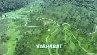 Valparai - The 7th Heaven - A beautiful scenic view of Valparai's lush green tea gardens