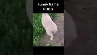 🤣🤣🤣 #pubgmobile #pubgm #games #gaming #pubgphone #shortspubg #pubg #pubgmesports #pubgmobilebestplay