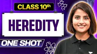 Heredity Class 10 | Detailed One Shot (Complete Concept + Questions) | Seep Ma'am