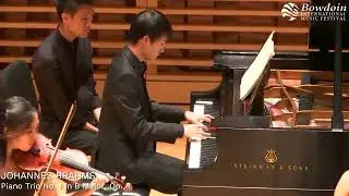 Brahms Piano Trio No. 1 in B major, Op. 8 I. Allegro con brio