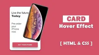 CSS Card Hover Effects - CSS Hover Effect Tutorial