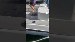 36 fish around exterior