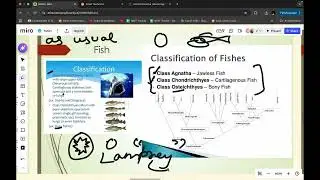 Characteristics of Vertebrates(CUET-PG)(Life Sciences|Zoology|Biology)