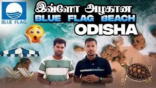 Must Visit Beach in Odisha  🌴 | Puri Blue Flag Experience |  Gypsy Vlogs