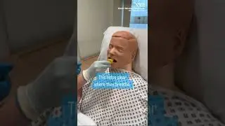 Behind the scenes with our ICU Rehabilitation team