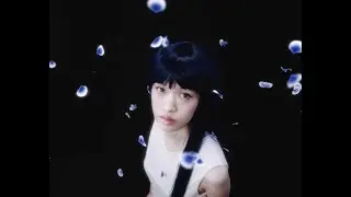 FiFi ZHANG - petals (feat. age) Visualizer