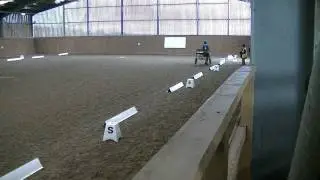 Donkey Indoor Driving Trial Dressage Test 2012