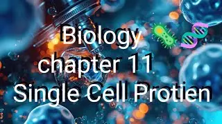 12th Biology 🧬🦠 chapter Enhancement of food production, single cell protien