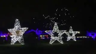 Detroit Zoo Wild Lights
