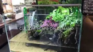 60cm Paludarium