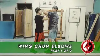 Wing Chun Elbow Kneeling Gwai Jang Drills #martialarts #kungfu #mma #karate#chinese #selfdefense