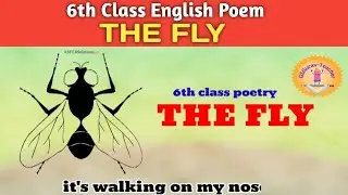 The Fly l 6th Standard English poem l Poetry reciting l Tony Bradman l English poetry